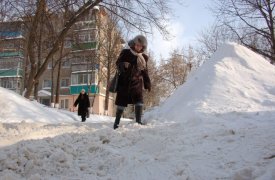 Прогноз погоды в Тульской области на 3 января: снегопад, гололедица и сильный ветер