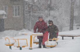 Сибирские морозы ожидаются в Тульской области на выходных