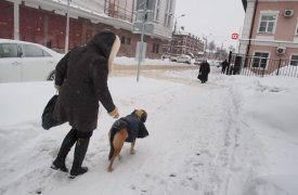 Прогноз погоды в Тульской области на 14 января: по-прежнему морозно