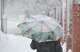 Прогноз погоды в Тульской области на 28 января