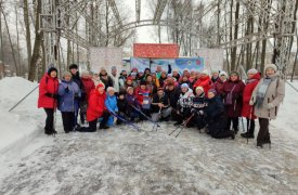 Спортивный праздник северной ходьбы «Мы вместе!» прошел в Туле 