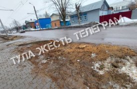 Новые деревья высадят на улице Луначарского в Туле вместо спиленных