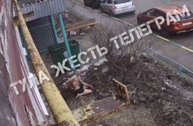 В тульских Глушанках замечен неадекватно ведущий себя мужчина