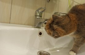 29 марта в Туле без холодной воды останутся жители улицы Новомосковской и поселка 2-й Западный
