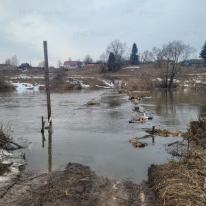 Пятый по счету мост подтопило в Одоевском районе Тульской области
