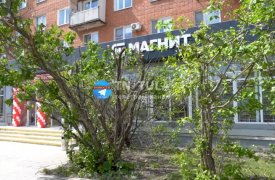 Что для Тулы важнее: вывеска магазина или цветущие кусты в палисаднике?