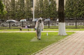 В Туле свыше 160 гектаров территорий обработали от клещей