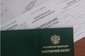Лимиты добычи бобра и куницы установили в Тульской области 
