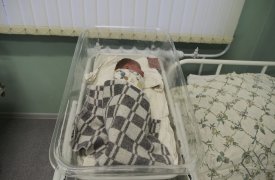 В последний месяц лета в Тульской области родился 661 малыш