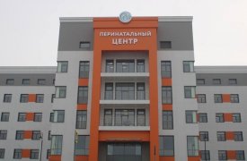 Возле перинатального центра в Туле установят скульптуру Богородицы