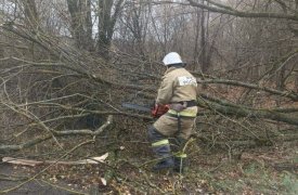 Мощный циклон в Тульской области повалил 70 деревьев и повредил автомобили