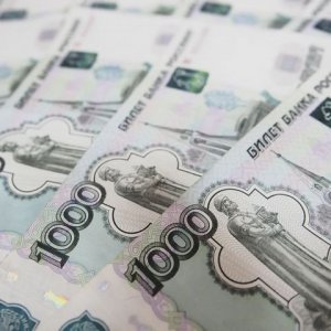 Веневский муниципалитет в Тульской области заплатит 25 тысяч рублей морального вреда за нападение дикой собаки на ребенка