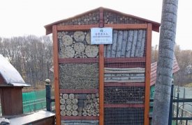 В Центральном парке Тулы появился дом для насекомых