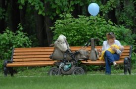 День матери в Тульской области отметят множеством событий