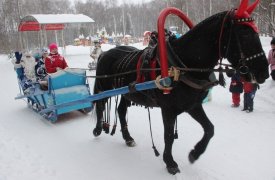 В Центральном парке Тулы откроется новогодняя резиденция Деда Мороза
