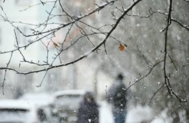 Прогноз погоды на 14 декабря в Тульской области
