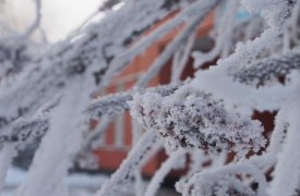 Прогноз погоды на 15 декабря в Тульской области