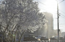Прогноз погоды на 18 января в Тульской области
