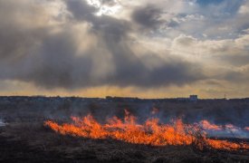 Ночью в Тульской области уничтожили три беспилотника