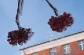 С 3 по 9 февраля: погода в Туле