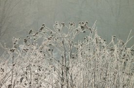 Погода в Тульской области на 14 февраля