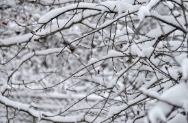Погода в Тульской области на 18 февраля