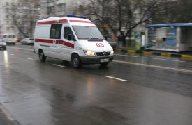 Тулячка утонула в Упе, спасая собаку