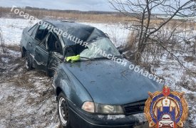 Женщина на Daewoo Nexia влетела в дерево в Ленинском районе Тулы