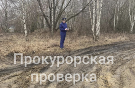Прокуратура проверила состояние дорог в Богородицком районе Тульской области