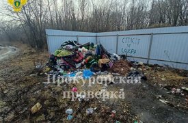 Несанкционированная свалка образовалась на кладбище в Воловском районе Тульской области