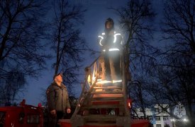 Богородицкие сотрудники МЧС спасли оказавшегося в беде кота