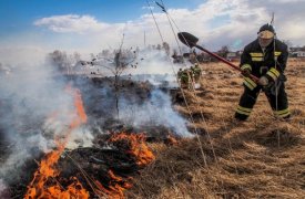 Волна возгораний сухой травы прокатилась по Тульской области