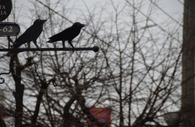 Прогноз погоды на 6 апреля в Тульской области