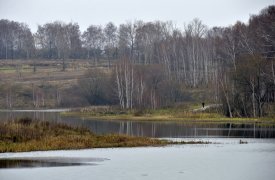 Киреевское предприятие обязали выплатить крупный штраф за загрязнение реки Упы