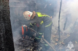 Восемь пожаров произошли в Тульской области за прошедшие сутки