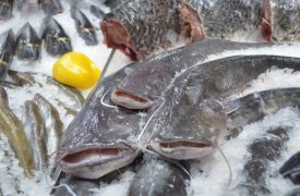 В Туле предприниматель торговал рыбными консервами без ветеринарного сертификата
