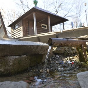 Тулякам объяснили, почему опасно пить воду из родников
