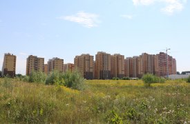В Тульской области студенческие семьи с детьми получат льготу на покупку жилья