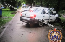 Четыре человека оказались в больнице: в Туле иномарка влетела в дерево
