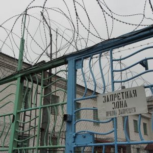 Отправлявший жене детское порно туляк получил реальный срок