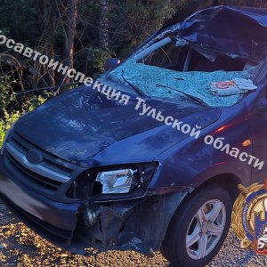 Водитель «Лады» наехал на живое препятствие на трассе в Заокском районе Тульской области