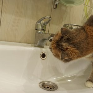 25 июня часть тульского Заречья останется без воды