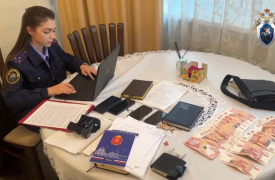 В Тульской области возбуждено дело о хищении 11 млн рублей при ремонте путепровода