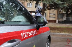 Росгвардейцы спасли женщину от вооруженного преступника в Новомосковске