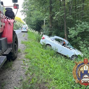 «Ладу» отбросило в дерево в Богородицком районе Тульской области — двое пострадали