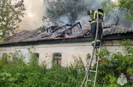 Пять пожаров потушили тульские спасатели за минувшие сутки