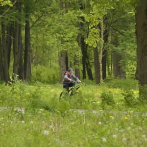 Прокуратура добилась защиты лесов в Тепло-Огарёвском районе