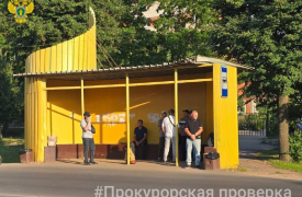 Новомосковская прокуратура нашла непригодные для инвалидов остановки общественного транспорта