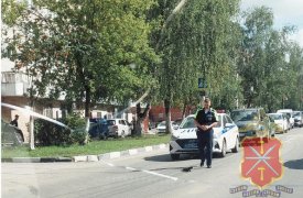 Инспектор ДПС спас котенка на оживленной дороге в Алексине Тульской области