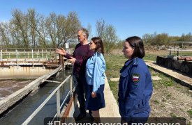 «ЕЗСК сервис» сливал сточные воды в реку Красивая Меча в Ефремовском районе Тульской области